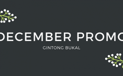 Promo This December!