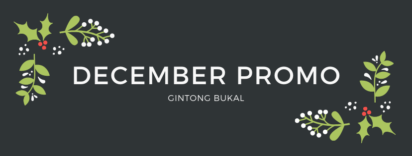 Promo This December!